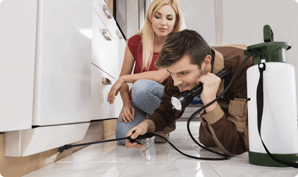 FAQ Pest Control