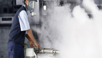 Pest Control Services